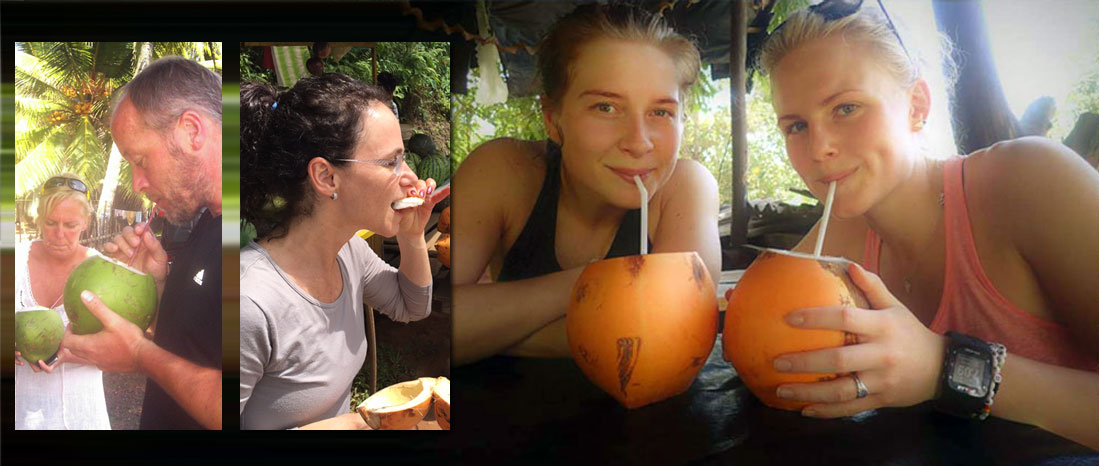 Sri Lanka Mithudama Holidays, King coconut sri lanka, Back packers holidays in Sri Lanka