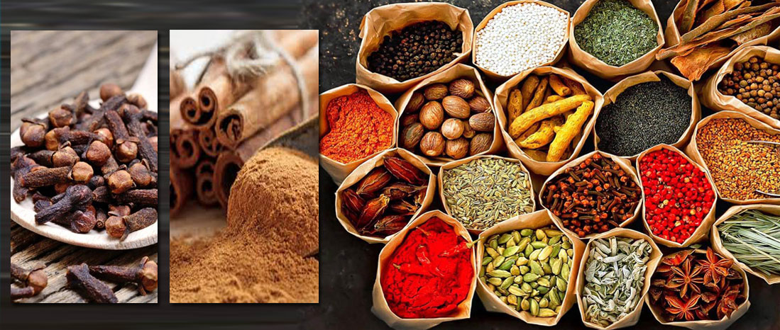 Sri Lanka Mithudama Holidays, spices in Sri Lanka, Back packers holidays in Sri Lanka